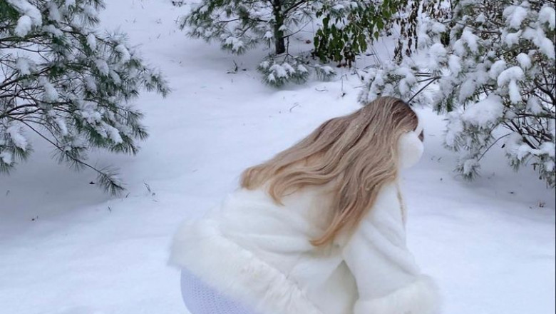 Как я решилась и завела  Питона